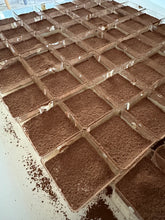Load image into Gallery viewer, tiramisu pots x 20